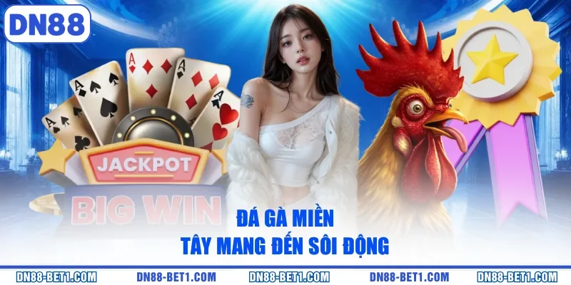 Đá Gà Miền Tây - Thưởng Thức Các Trận Chiến Kịch Tính 1 Đá gà miền Tây mang đến sôi động