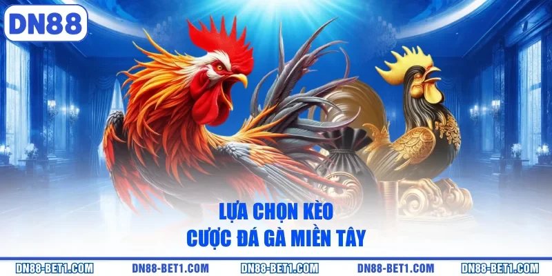 Đá Gà Miền Tây - Thưởng Thức Các Trận Chiến Kịch Tính 3 Lựa chọn kèo cược đá gà miền Tây